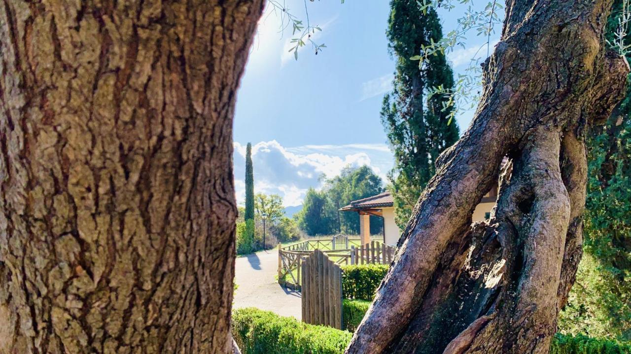 Casa In Maremma Tuscany Village Scarlino Luaran gambar